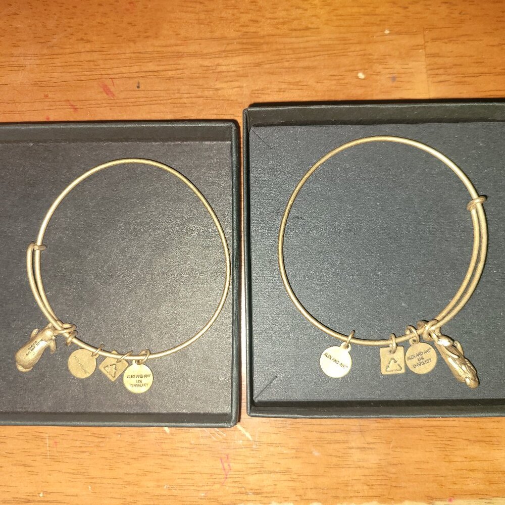 Alex and Ani Otter Bracelet Set